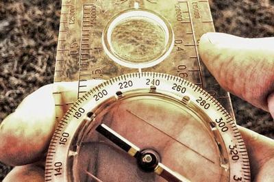 Rotterdam in rep en roer